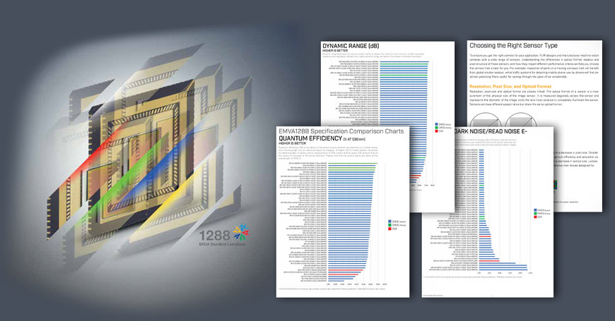 The Teledyne FLIR  2022 Mono and Color Sensor Reviews are now available!